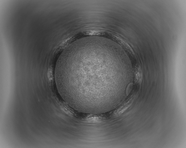 X0000113340620200909221125