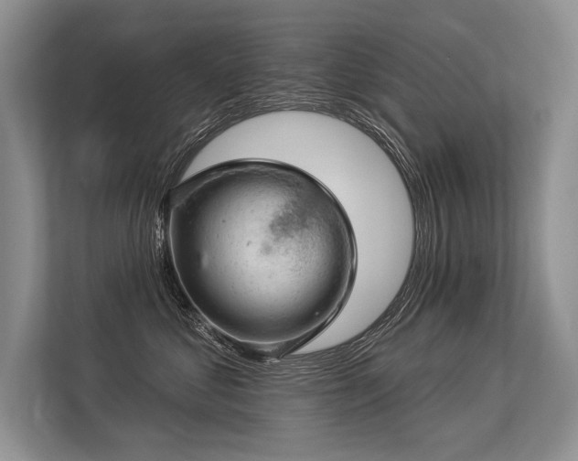 X0000113340621200909221125