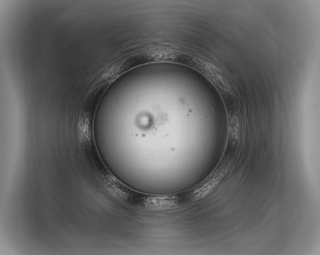 X0000113340622200909221125