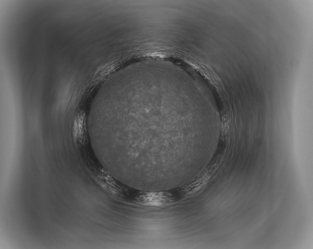 X0000113340623200909221125