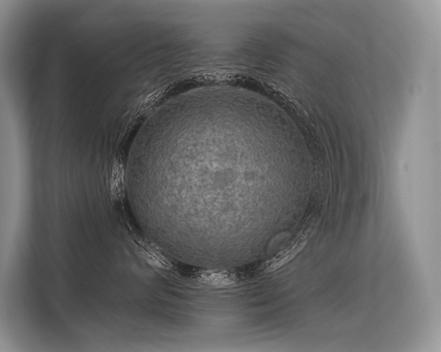 X0000113340624200909221125