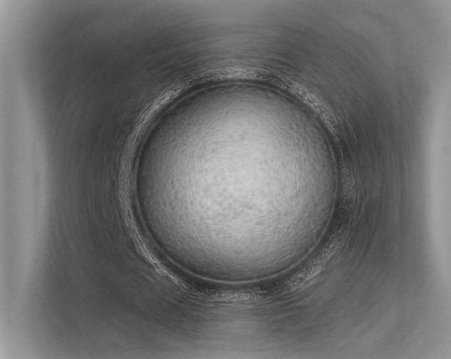 X0000113340625200909221124