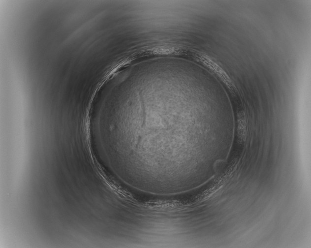 X0000113340626200909221124