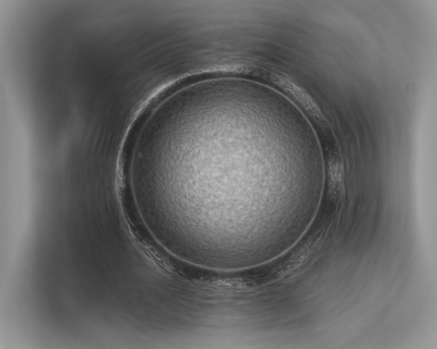 X0000113340628200909221124