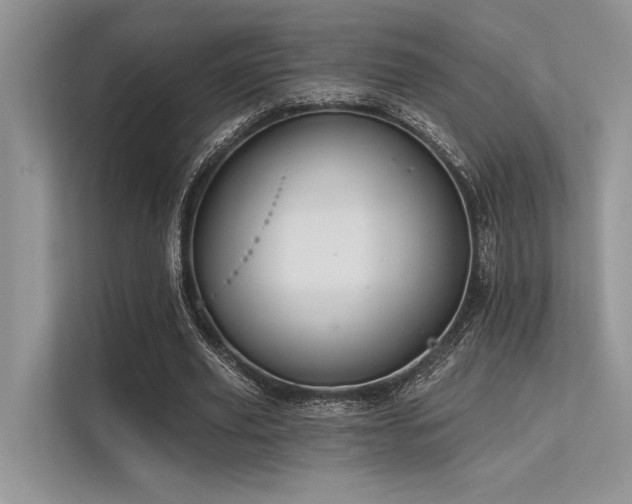 X0000113340629200909221124