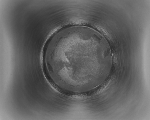 X0000113340630200909221124