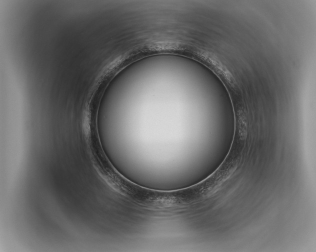 X0000113340631200909221124