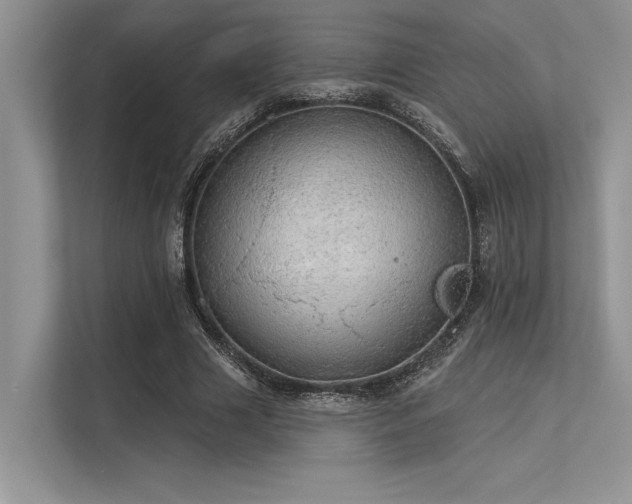 X0000113340633200909221124