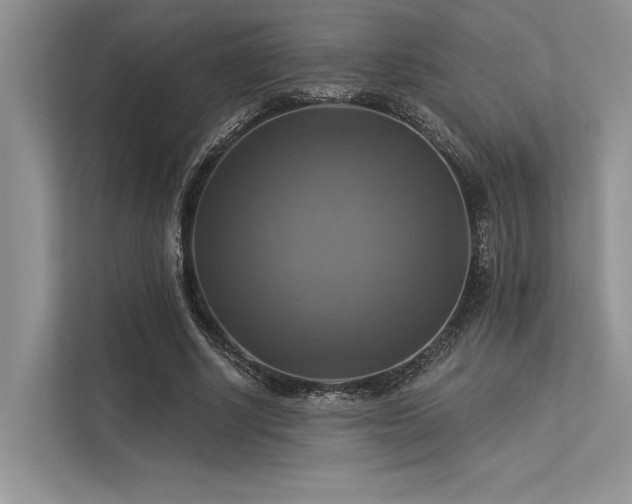 X0000113340634200909221124