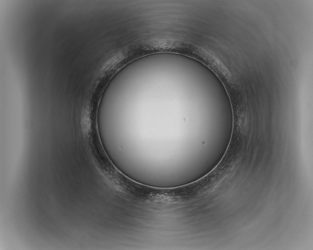 X0000113340635200909221124