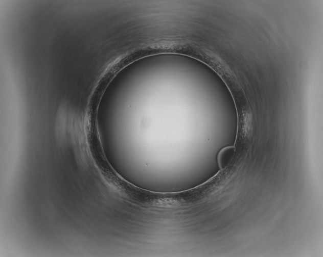 X0000113340636200909221124