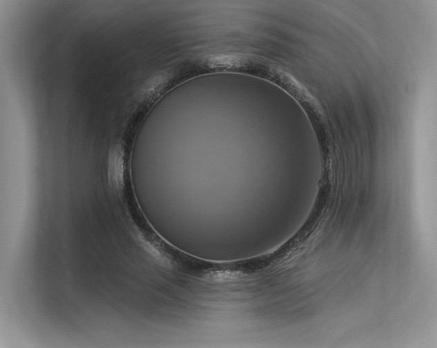 X0000113340637200909221124