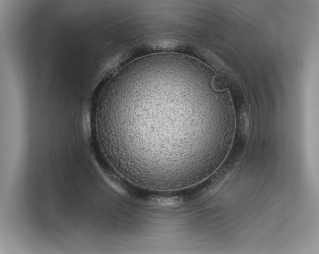 X0000113340638200909221124