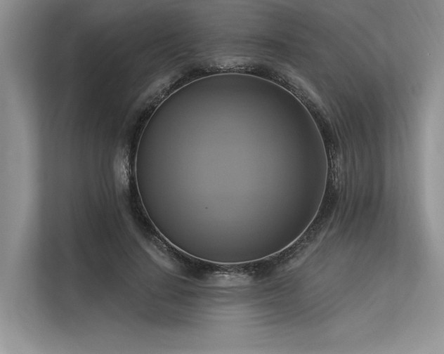 X0000113340644200909221124