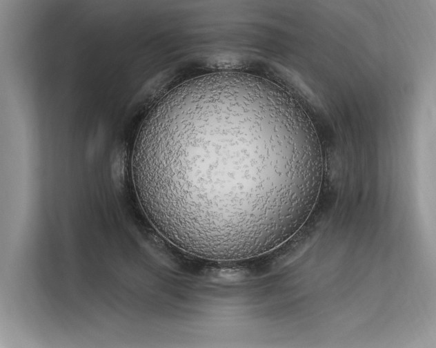 X0000113340645200909221124