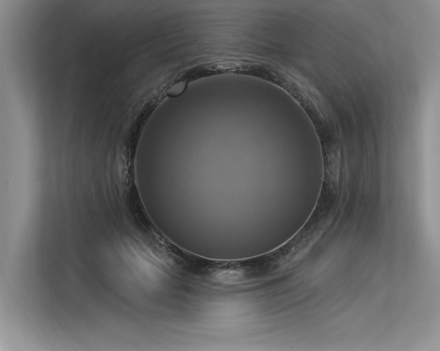 X0000113340653200909221124