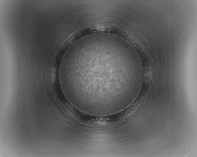 X0000113340656200909221124