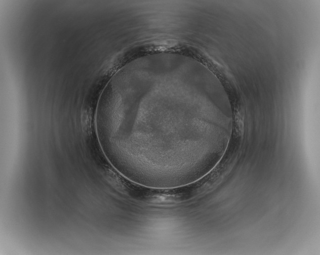 X0000113340657200909221124