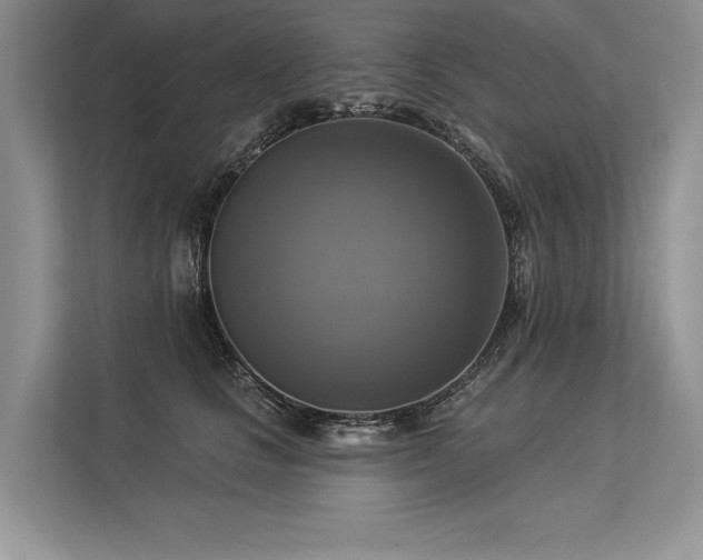 X0000113340661200909221124