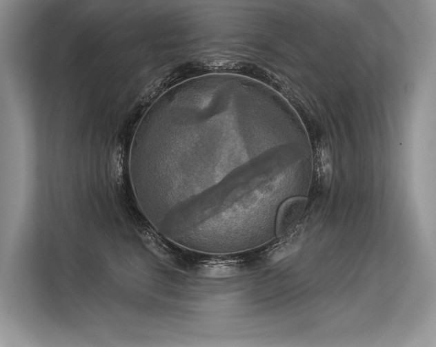 X0000113340664200909221124