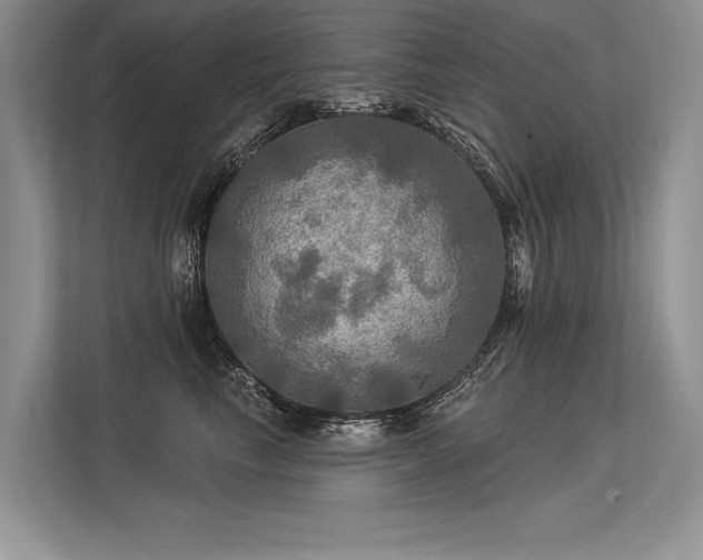 X0000113340665200909221124