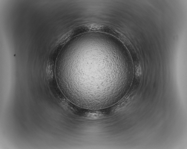 X0000113340666200909221124