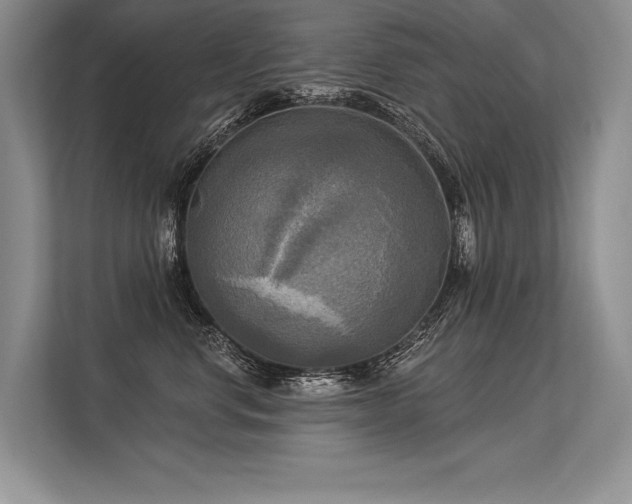 X0000113340668200909221125