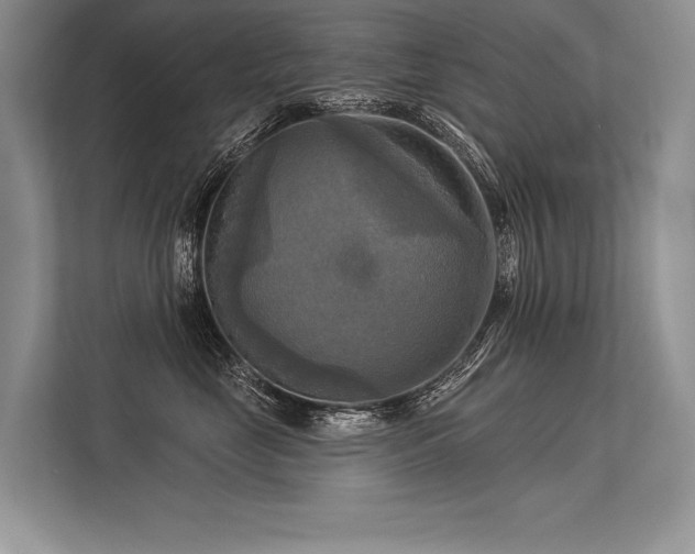 X0000113340669200909221125