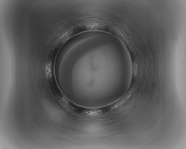 X0000113340670200909221125