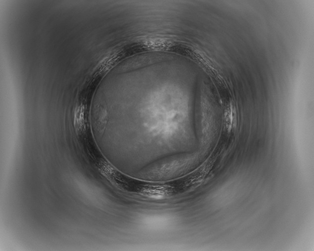 X0000113340671200909221125