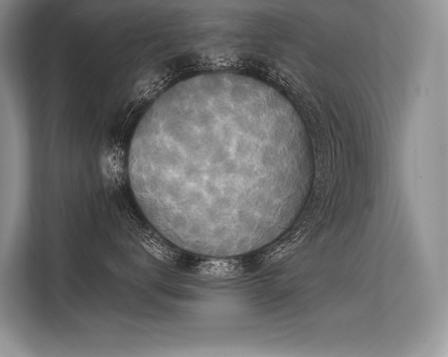 X0000113340672200909221125