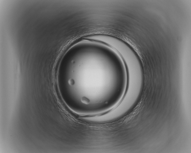 X0000113340673200909221124