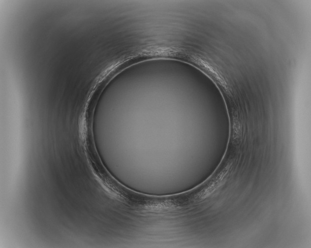 X0000113340674200909221124