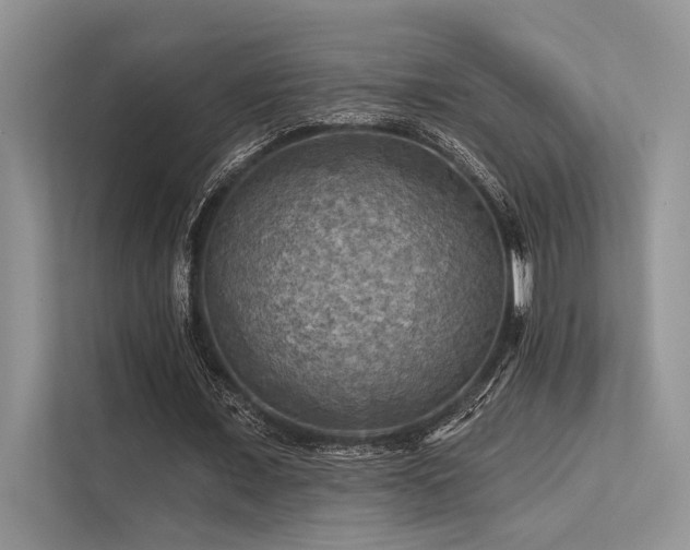 X0000113340675200909221124