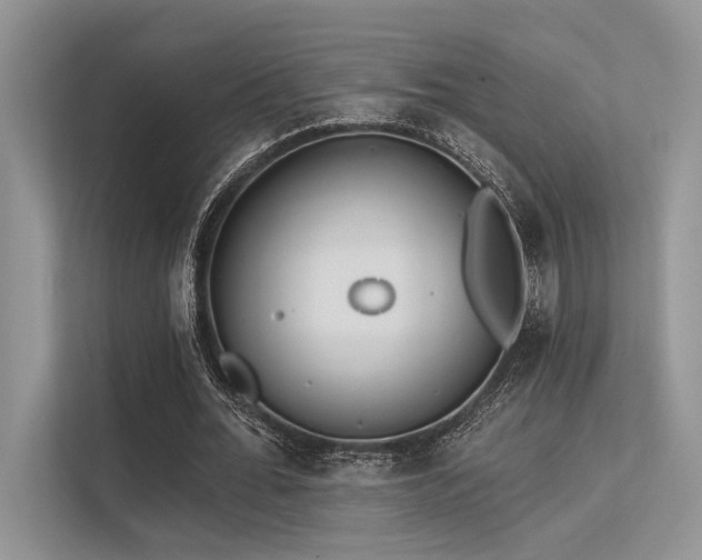 X0000113340676200909221124