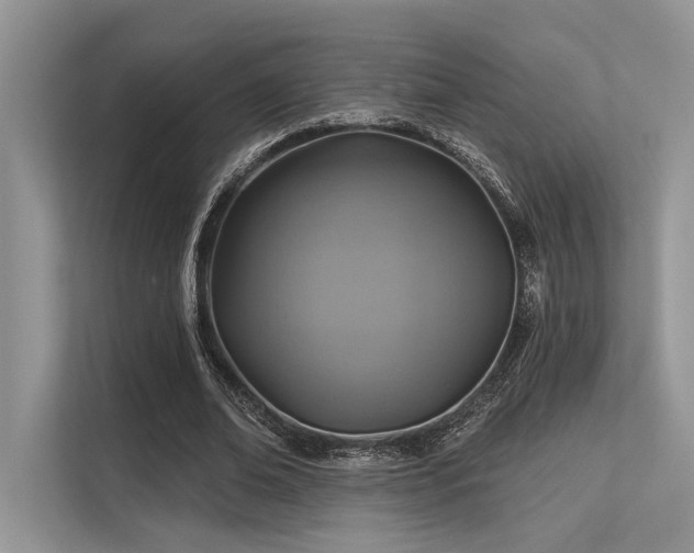 X0000113340678200909221124