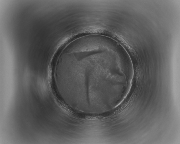 X0000113340679200909221124