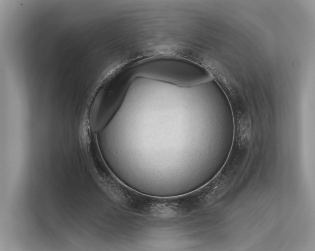 X0000113340680200909221124