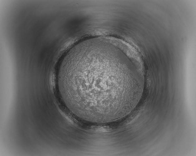 X0000113340683200909221124