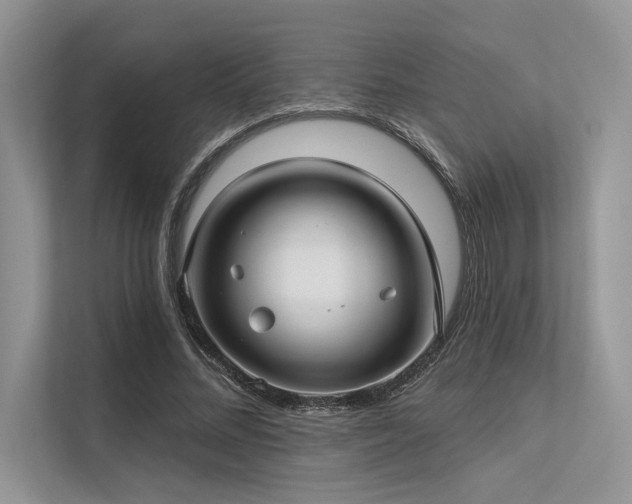 X0000113340684200909221124