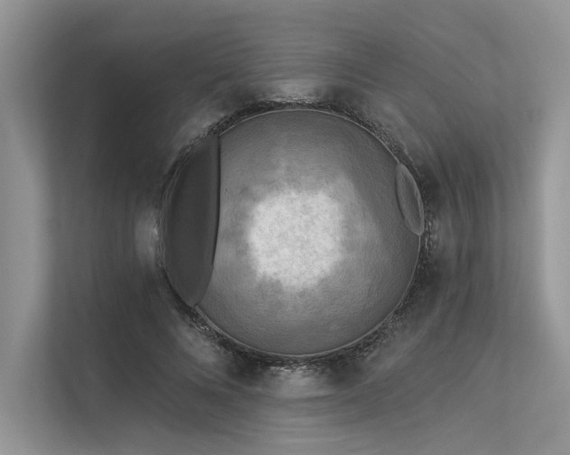 X0000113340688200909221124