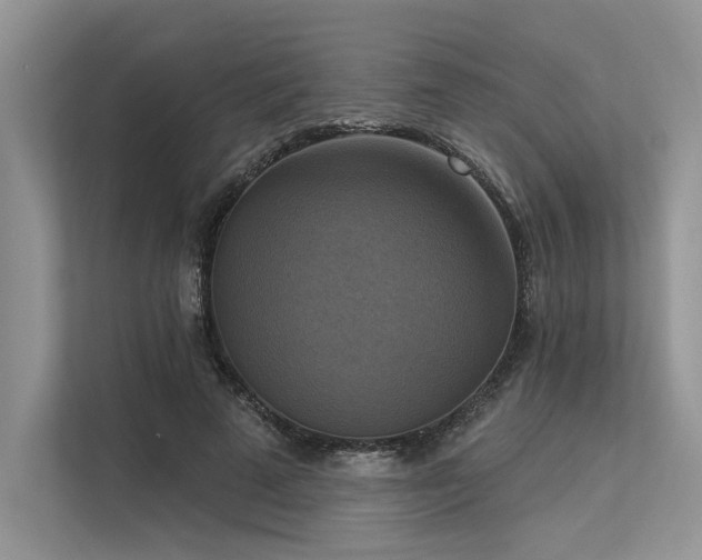 X0000113340689200909221124