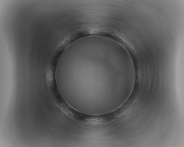 X0000113340691200909221124