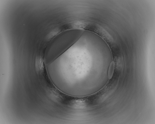 X0000113340692200909221124