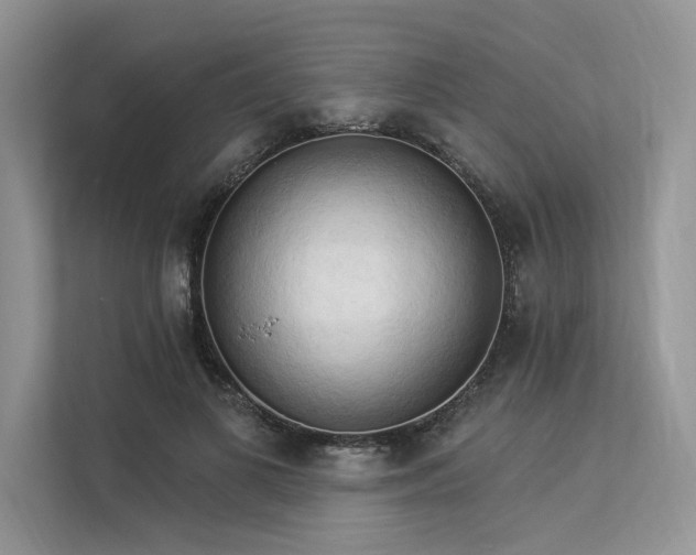 X0000113340693200909221124