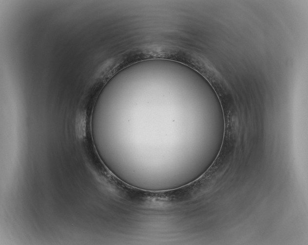 X0000113340694200909221124