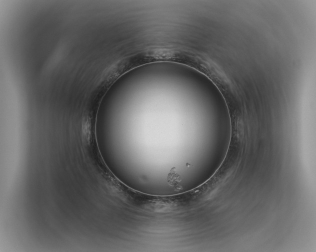 X0000113340697200909221124