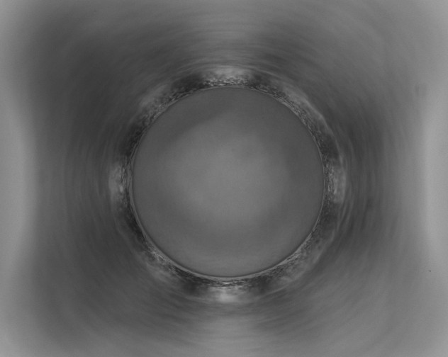 X0000113340701200909221124