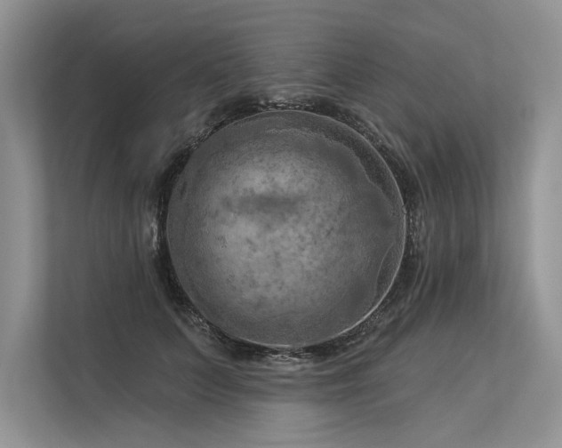 X0000113340703200909221124