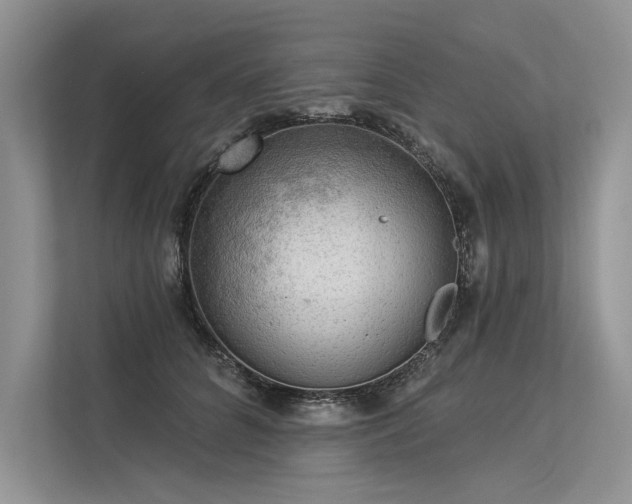 X0000113340704200909221124